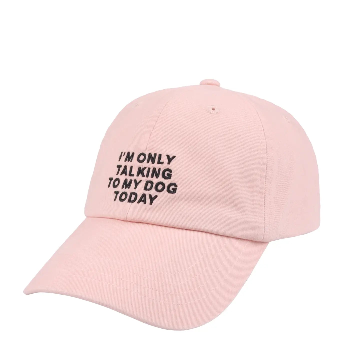 I'm Only Talking To My Dog Today Hat