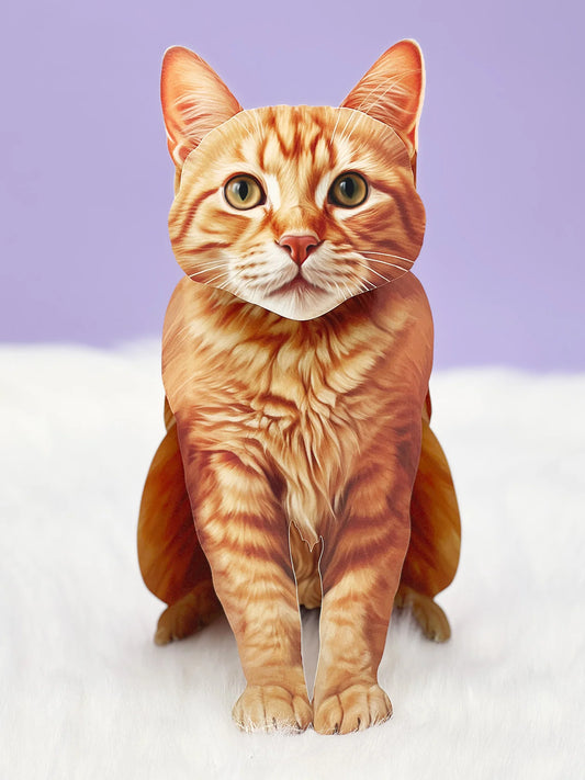 Orange Tabby Cat Pop-Up
