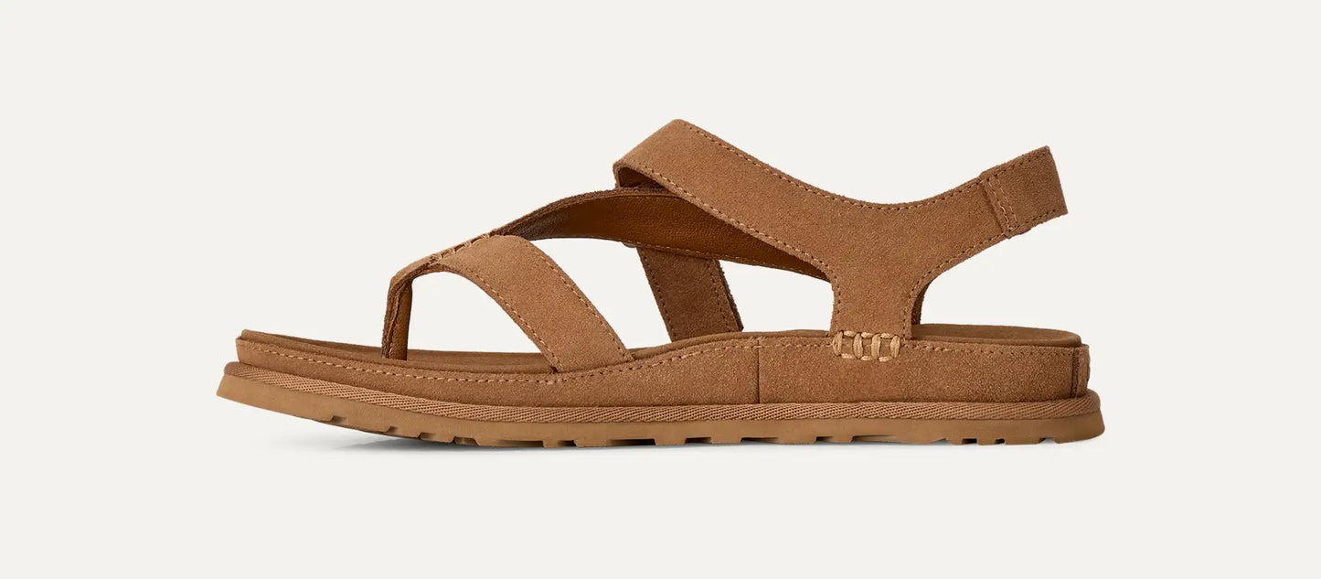 Women's GoldenGaze Toe Post