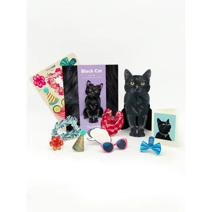 Black Cat Pop-Up Card