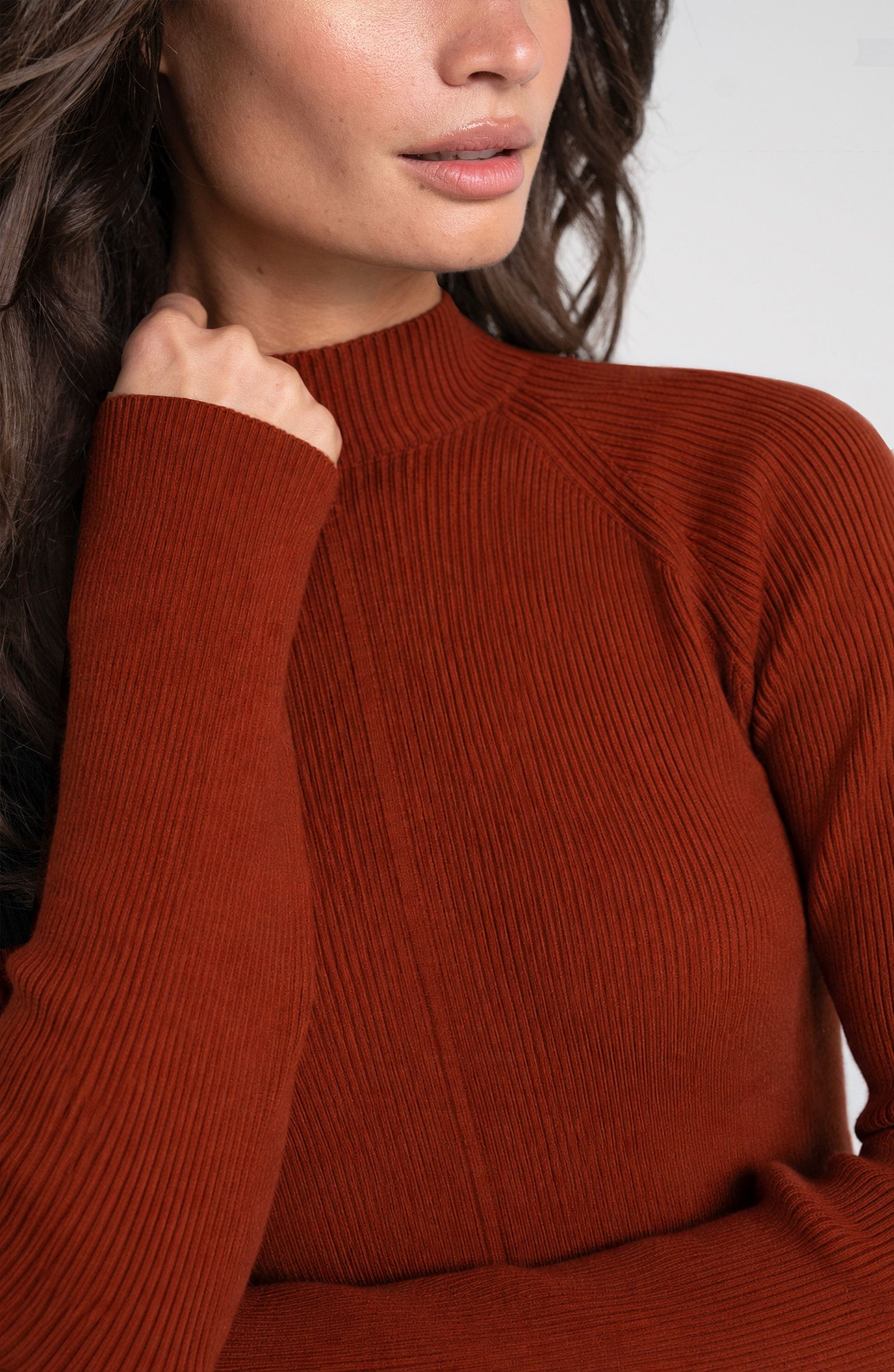 Long Sleeve Turtleneck Sweater