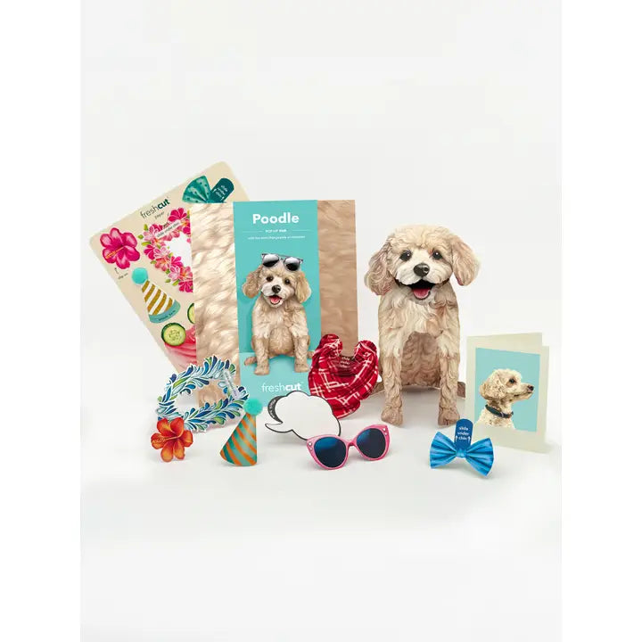 Poodle Pop-Up Card