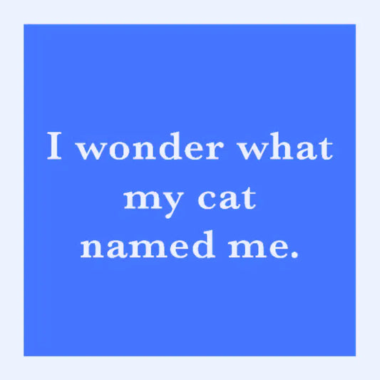 I Wonder What My Cat Named Me