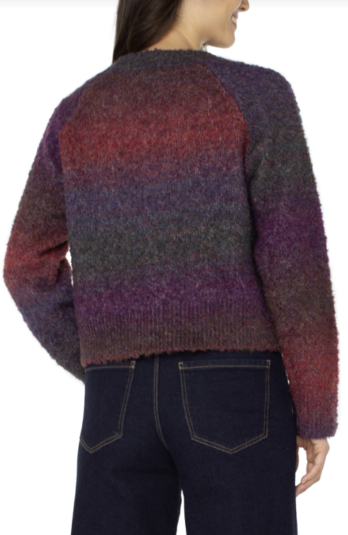 Long Sleeve Raglan Button Front Cardigan Sweater