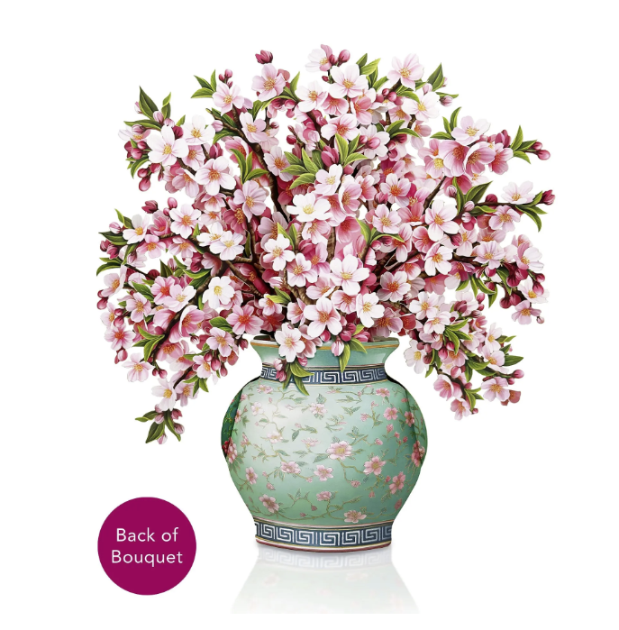 Japanese Cherry Blossoms