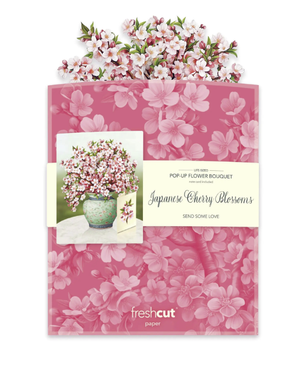 Japanese Cherry Blossoms