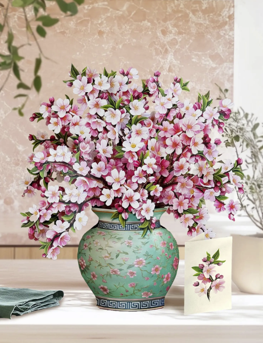 Japanese Cherry Blossoms