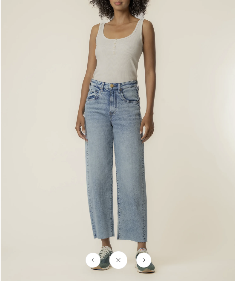 Gwen High Rise Wide Leg in Well Wash