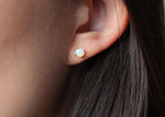 Load image into Gallery viewer, Opal Studs: Silver
