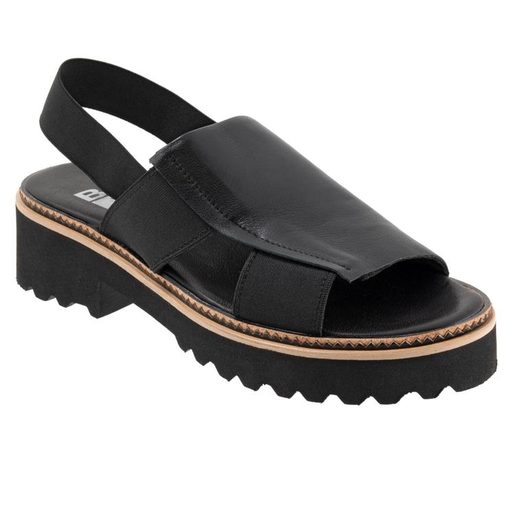Amy Sandal