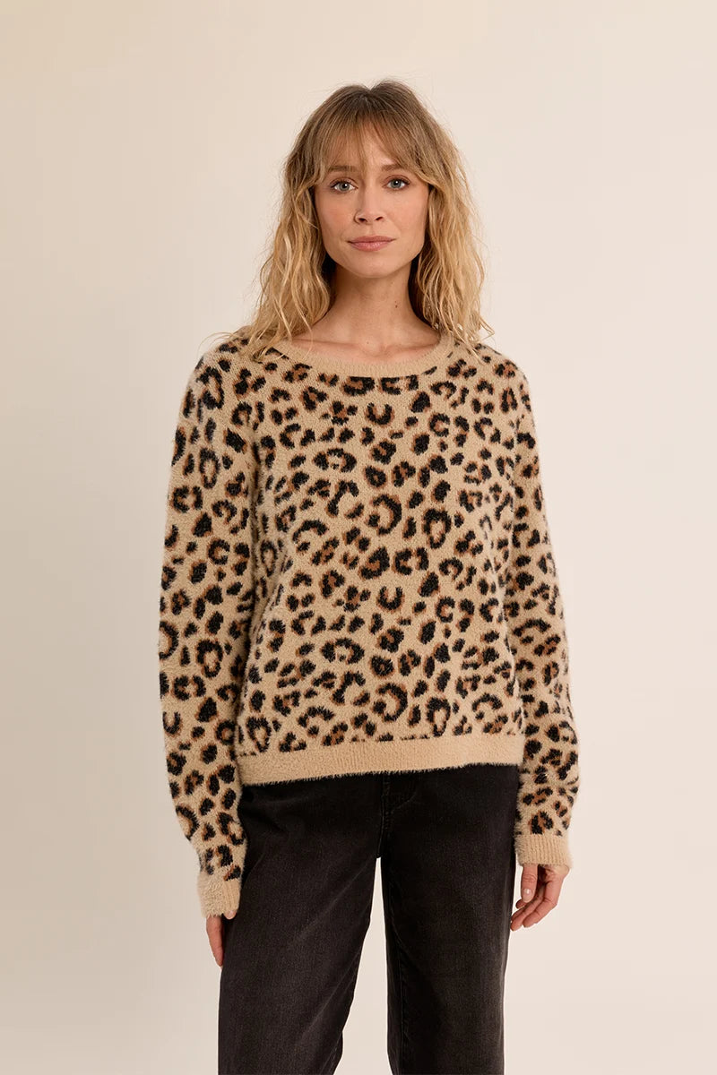 Leopard Crop Sweater (LA2065EN)