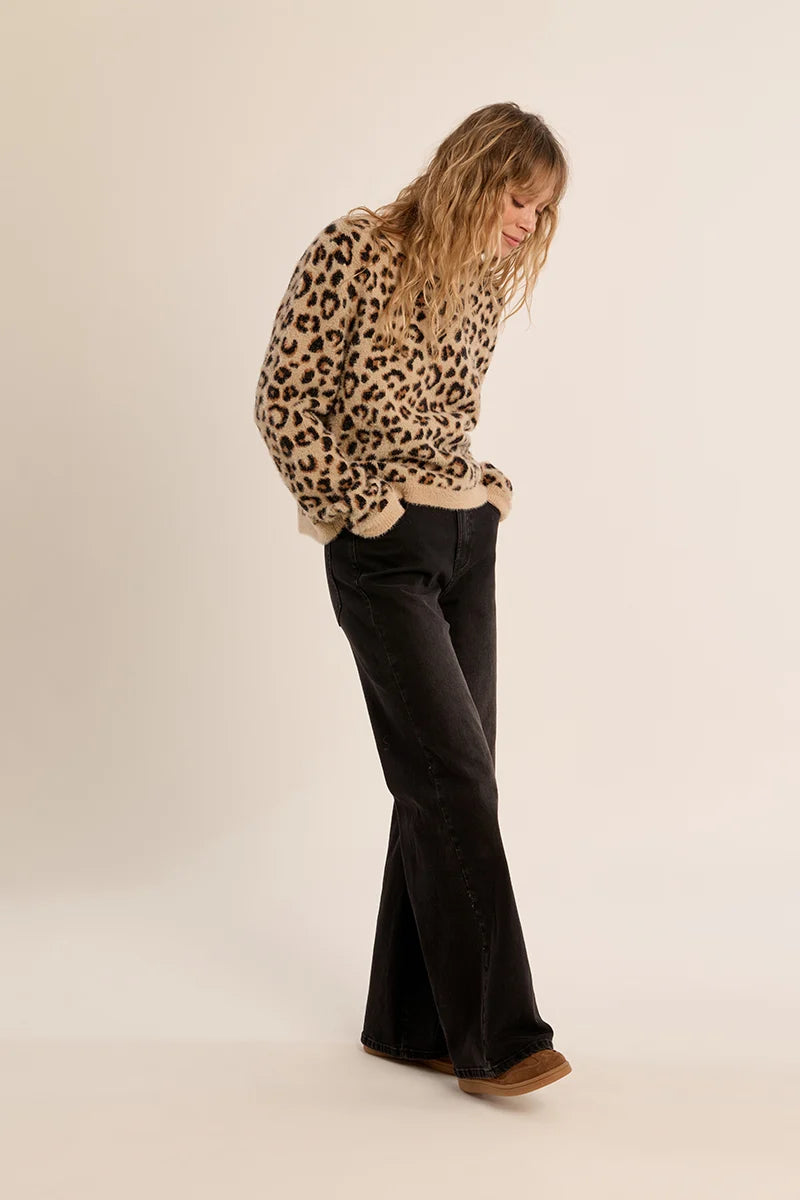 Leopard Crop Sweater (LA2065EN)