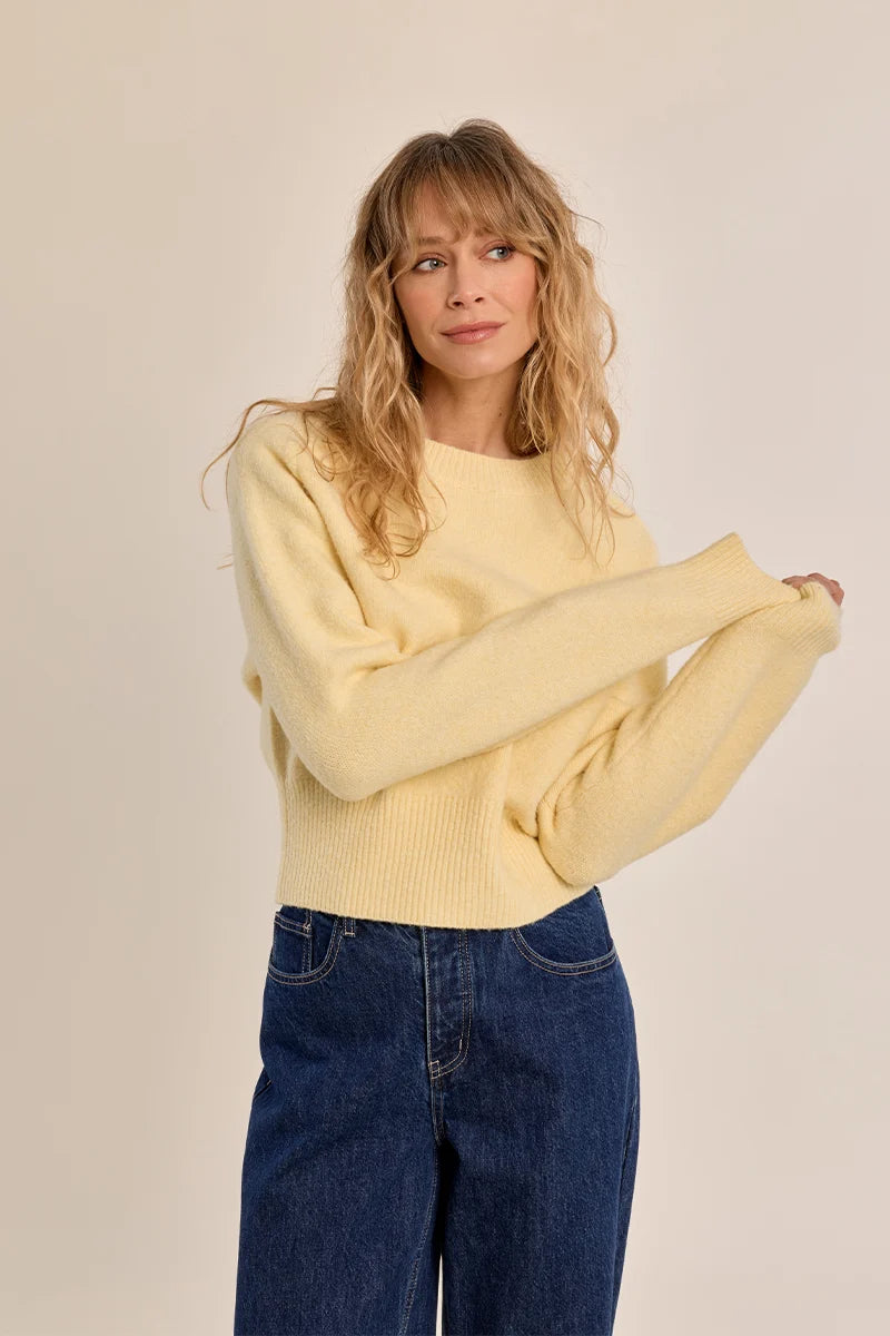 Ribbed Crop Sweater (LAS148EN)