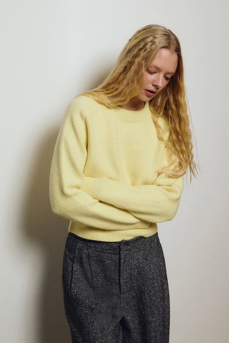 Ribbed Crop Sweater (LAS148EN)