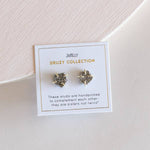 Load image into Gallery viewer, Silver Druzy Prong Earrings
