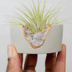 Load image into Gallery viewer, Lepidolite Mini Planter
