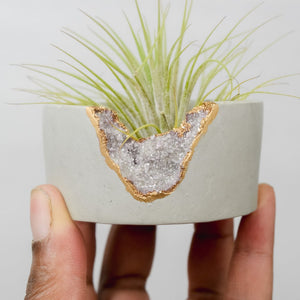 Lepidolite Mini Planter