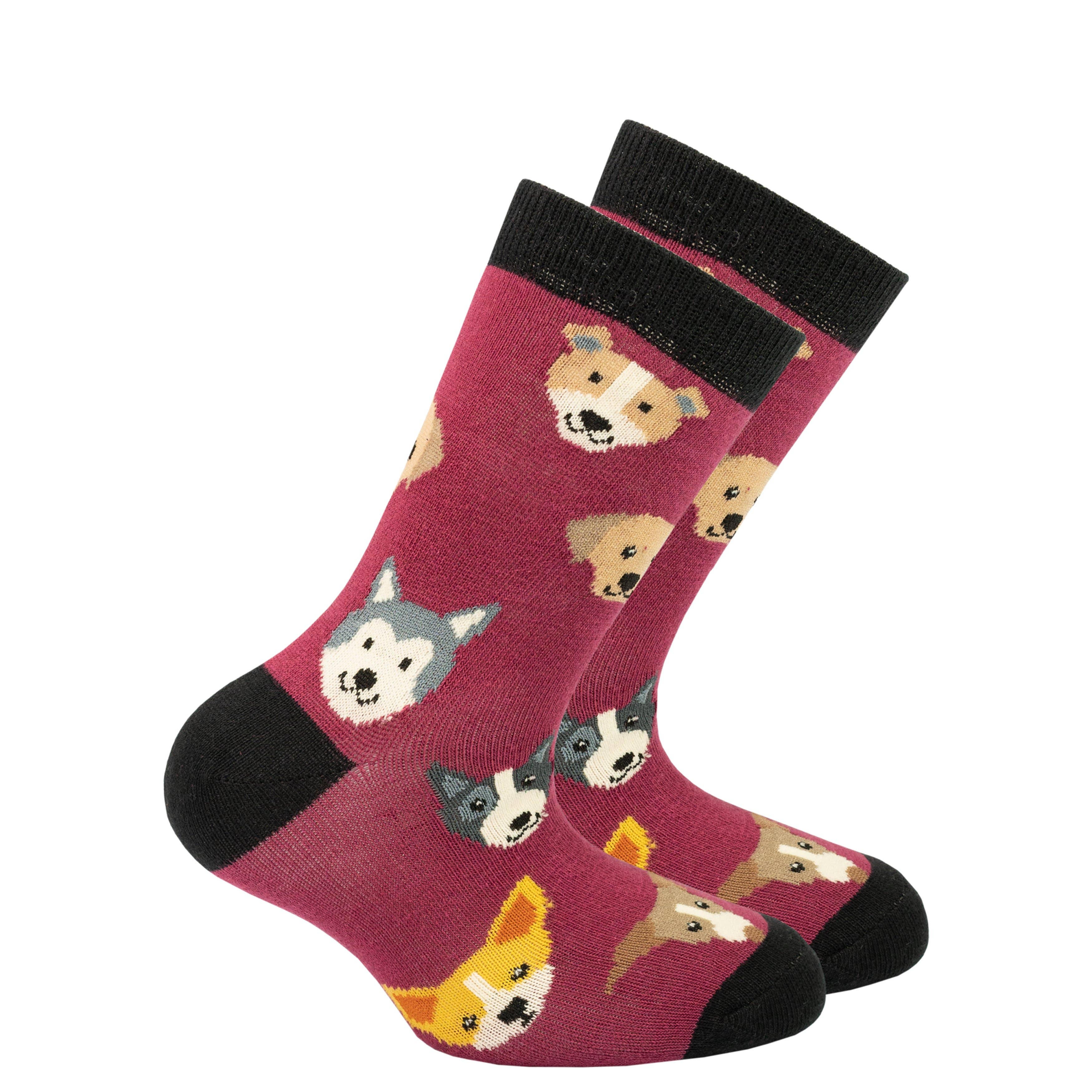 Kid's Cute Dogs Socks