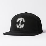 Load image into Gallery viewer, Oaklandish Classic Snapback Hat
